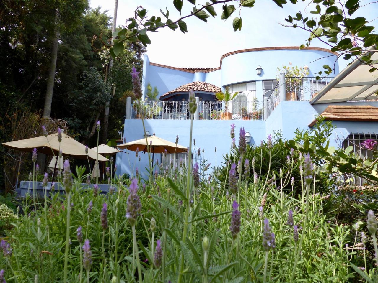 فندق Casa Carly سان ميغيل دي الليندي المظهر الخارجي الصورة